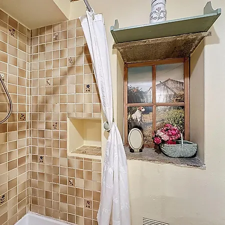 L'agapanthe By Interhome Vakantiehuis La Birochere